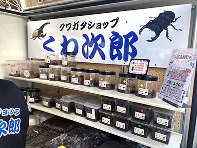 くわ次郎様 出店の様子
